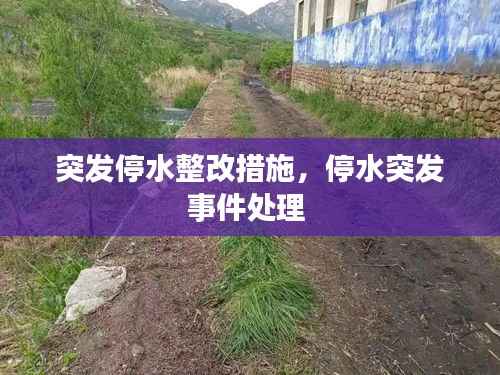 突发停水整改措施,停水突发事件处理