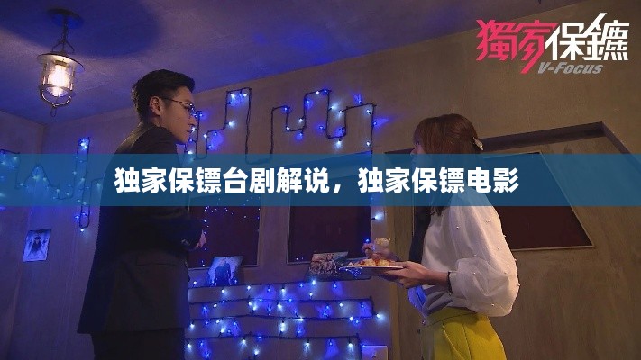 独家保镖台剧解说,独家保镖电影