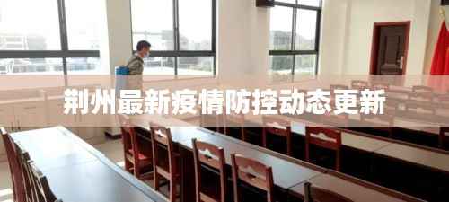 荆州最新疫情防控动态更新