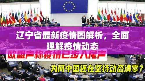 辽宁省最新疫情图解析，全面理解疫情动态