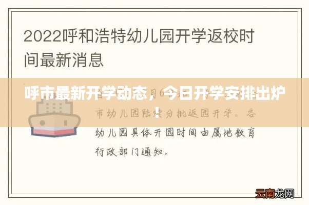 呼市最新开学动态，今日开学安排出炉！