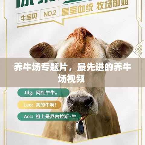 诚聘英才 第60页