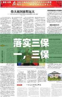 落实三保一,三保一降落实方案