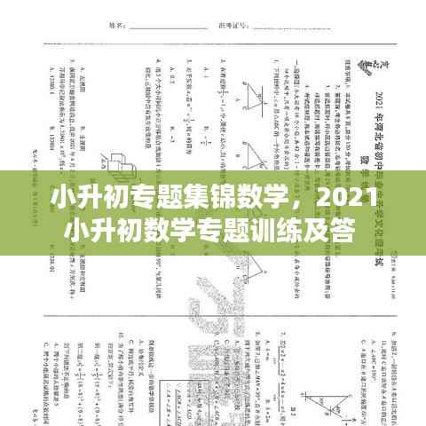 小升初专题集锦数学，2021小升初数学专题训练及答 