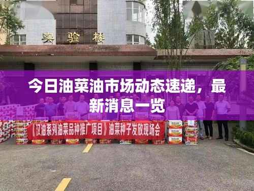 今日油菜油市场动态速递,最新消息一览