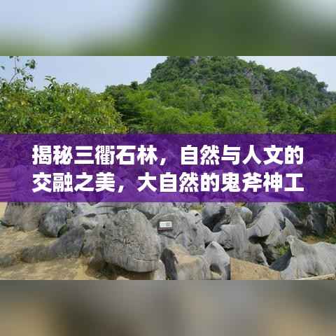 揭秘三衢石林,自然与人文的交融之美,大自然的鬼斧神工欣赏