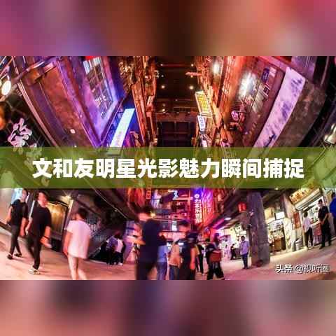 文和友明星光影魅力瞬间捕捉