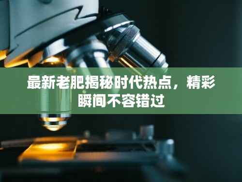 林下风范 第2页