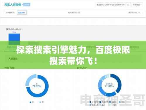 探索搜索引擎魅力，百度极限搜索带你飞！